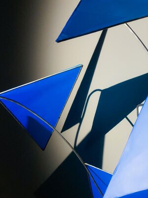 Кинетика полета