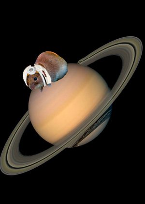 Мыши На Борту