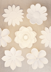 Petal Life