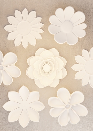 Petal Life 