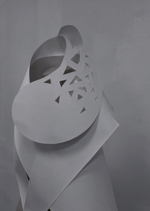 Специальные технологии «Бумагопластика. Пространственные преобразования.