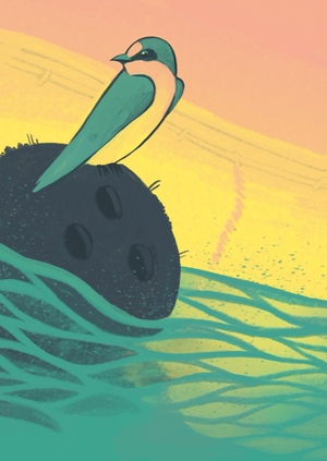 Как корабль назовёшь…