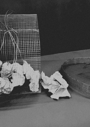 СОРИ ИДЕЯМИ