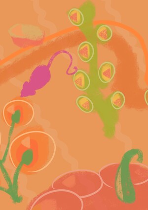 Мышиные тропы