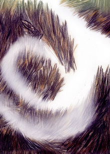 Нелинейные маршруты и&nbsp;потерянные пути