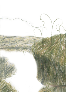 Отношения и&nbsp;социальные связи