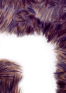 Коллективные переживания и&nbsp;формы солидарности