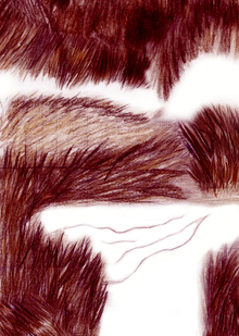 Невозможность адаптации и&nbsp;постоянная временность