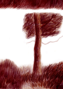 Заключение