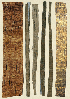 Каталог берестяных грамот