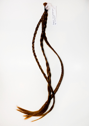 Сплетение мыслей