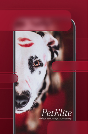 PetElite — приложение знакомств для собак