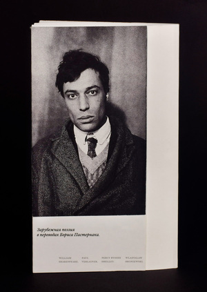 Зарубежная поэзия в переводах