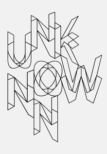KNOWN UNKNOWN&nbsp;— ROBERT IRWIN