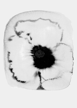 Воспоминания о цветах