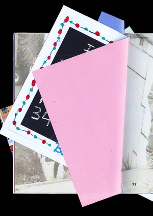 Каталог работ Джима Голдберга