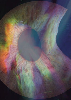 Приглашение. Детектив в формате квеста