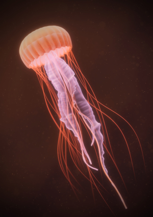 Houdini | Sea nettle