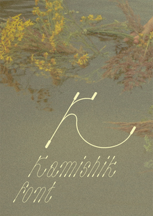Kamishik font