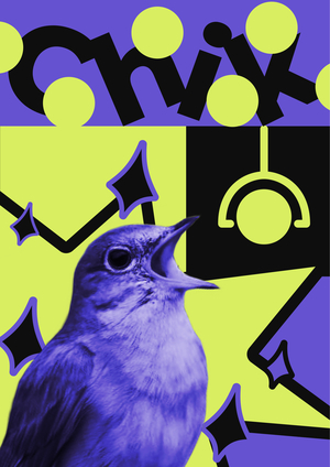 Chik | Веб-плакат