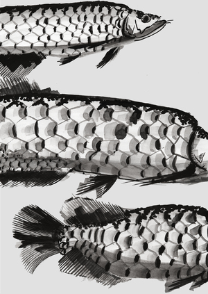 Икигай улов