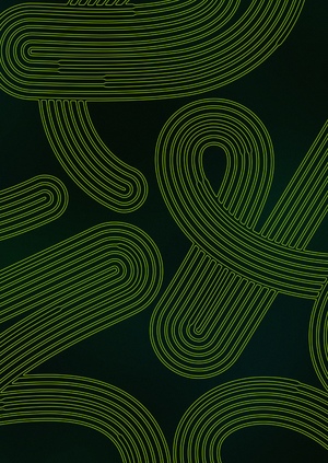 Чудо Кошмана — история северного чая