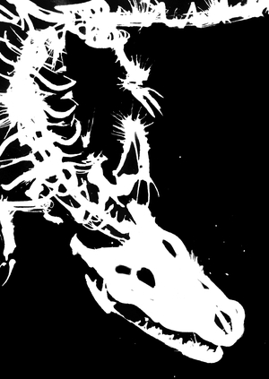 Ритм в костях