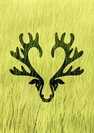 Миф о Кипарисе