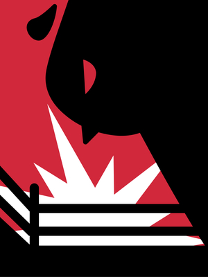 Веб-плакат «РЕВАНШ»