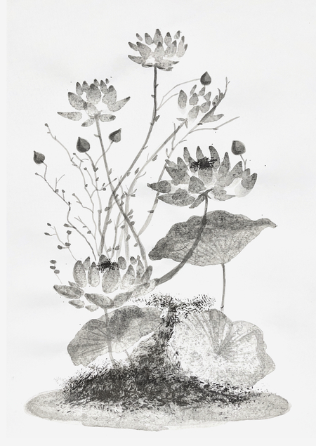 живые цветы