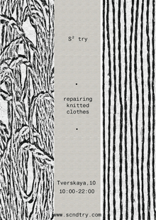 S² try S² try