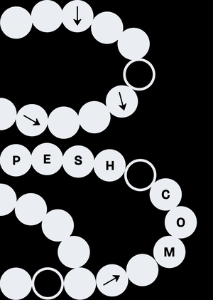 pesh.com — веб-плакаты