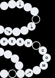 pesh.com&nbsp;— веб-плакаты