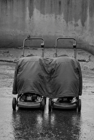 Рыцари быта