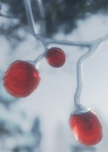 «flare»: 3d коллекция украшений