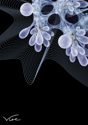 VIRE | веб-плакат