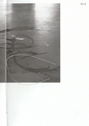 Water Poetic Exubera