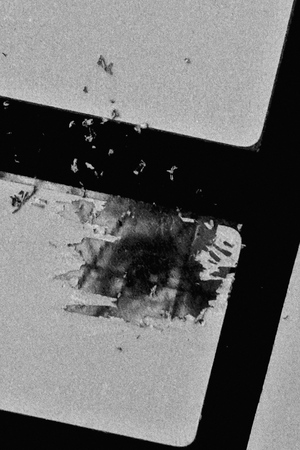 Точка бифуркации 