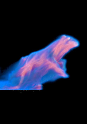 Туманная лошадь