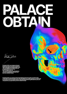 PALACE Website