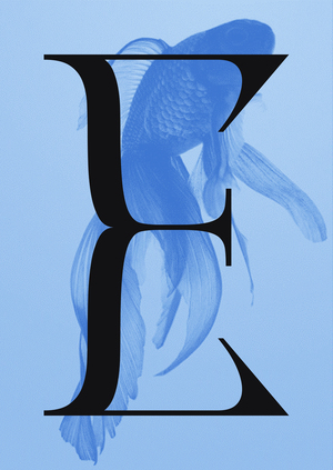 Fish Font