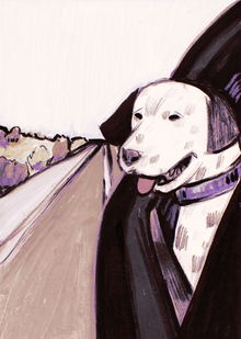 Гав-гав путешествие!