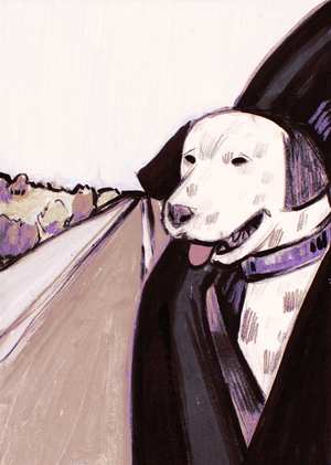 Гав-гав путешествие!