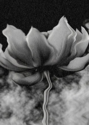 Marselle Лепесток