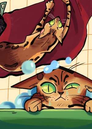 Бенгальские шалости