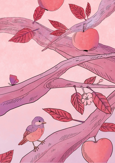 Зачарованный сад