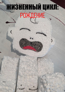 Жизненный цикл: Рождение Жизненный цикл: Рождение
