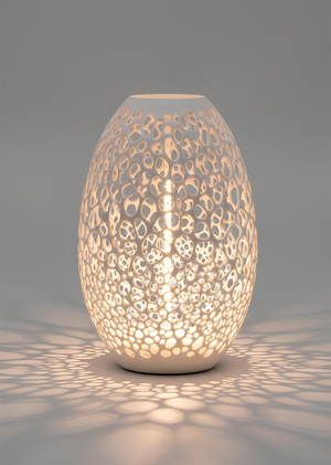 Алгоритм природы