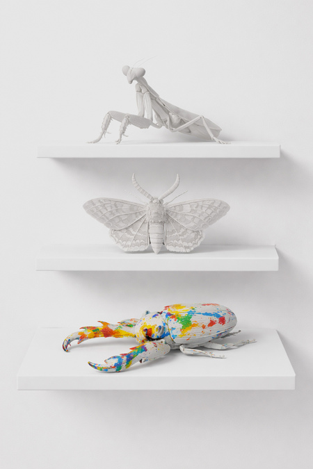 «Entomo»: Фигурки для раскрашивания