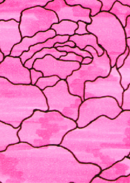 Человек-флора